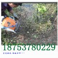 冻土移苗机  黑龙江挖树机  沈阳电动挖树 图片