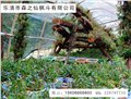 铁皮枫斗对四大系统疾病的防治 供应信息