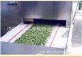 工业微波设备在各行各业中的应用 供应信息