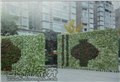 福建省权威的室内花木绿化植物租赁公司_百农花卉 供应信息