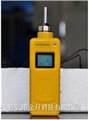 南京八环煤气气体检漏仪BX80 图片