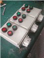 防爆防腐按钮控制箱LCZ8050-A2D2K1L 电机防雨操作柱 图片