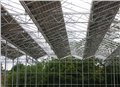 天津玻璃温室大棚建设 供应信息