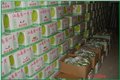 水果保鮮冷庫冰雪冷凍庫 保鮮庫 圖片