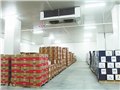 東莞組合冷庫 冷凍庫冰雪機(jī)電廠家供應(yīng) 圖片