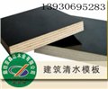 进口酚醛覆膜建筑模板 供应信息