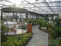 江西生态餐厅建设设计方案 供应信息