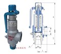 彈簧微啟式安全閥 圖片