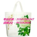 天津北京帆布环保袋 图片