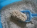 福建福州猫砂、厦门猫砂、泉州猫砂、龙岩猫砂、南平猫砂、宁德猫砂、莆田猫 供应信息