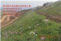 矿山植被恢复/新艺佳边坡生态 供应信息