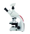 徕卡生物显微镜DM500现货 图片