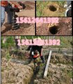 湖北省手持式地钻挖坑机 植树大棚种植工程地面打洞眼 图片