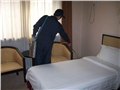 深圳杀虫电话/深圳杀臭虫 供应信息