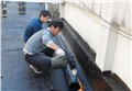 文昌保洁：周到的保洁推荐 供应信息