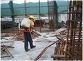 防治虫公司/灭白蚁公司 供应信息