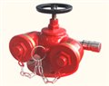 美国TSQD100-1.6 SQD150-1.6多用式地上消防水泵接合器 图片
