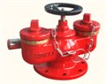 美SQD100-1.6A SQD150-1.6A多用式地下消防水泵接合器 图片