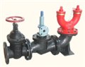 美国TYCO泰SQX100-1.6 SQX150-1.6地下式水泵接合器 图片