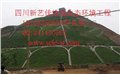 采石场植被恢复/新艺佳边坡生态 供应信息