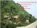 边坡绿化施工/新艺佳边坡生态 供应信息