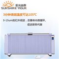 宁夏碳纤维电暖器 图片