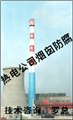 维修防腐热电公司烟囱旧维修_烟囱工程的承包公司丨江苏锦峰高空 图片