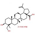 23-羟基白桦酸 23-Hydroxybetulinic acid   图片