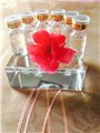 紧颜精华水厂家/广州靓典化妆品 供应信息