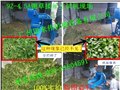 廣東省廣州市4.5噸玉米稈鍘草粉碎機 圖片