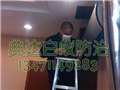 规模庞大的白蚁防治推荐 南宁实惠的白蚁防治 供应信息