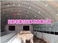河南养殖大棚安装指导-安阳丰源农业 供应信息