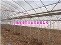 连栋大棚建设-安阳丰源农业 供应信息