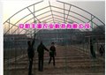 钢管大棚骨架-安阳丰源农业 供应信息