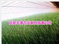 山东蔬菜大棚厂家-安阳丰源农业 供应信息