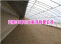 温室大棚造价-安阳丰源农业 供应信息
