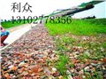 生态格网-镀锌生态格网挡墙 供应信息