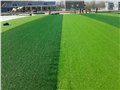 运动场施工公司/深圳力浦体育 供应信息