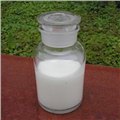 一体化污水处理价格 供应信息