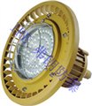 供应弗朗高质LED防爆免维护节能灯BRE8610 图片