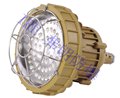供应弗朗优质LED防爆免维护节能灯BRE8620 图片
