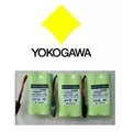 YOKOGAWA横河 S9129FA 后备电池 横河DCS电池 2.4 图片