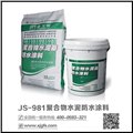 JS-981聚合物水泥基防水涂料 图片
