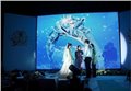 宜昌婚庆专用led显示屏，首选木兰轩科技有限公司 图片
