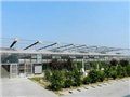 园艺温室造价|潍坊优质的园艺温室建造公司，当属恒 供应信息