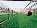 去哪找一流的智能连栋温室工程——新型的智能连栋温 供应信息