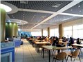 塑料格栅生产厂家|塑料格栅批发 供应信息
