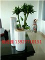 供应相城缠绕膜 苏州PVC缠绕膜 吴中缠绕膜 供应信息
