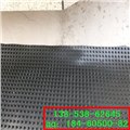 普陀绿泰排水板屋顶绿化排水板【防潮板】 图片