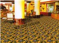 丙纶酒店地毯/广州市誉佳地毯 供应信息